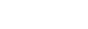 Partner logo google (white)