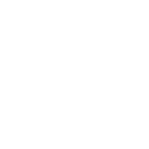 Partner logo nau (white)