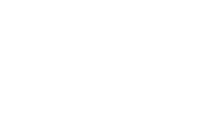 Partner logo salesforce (white) v2